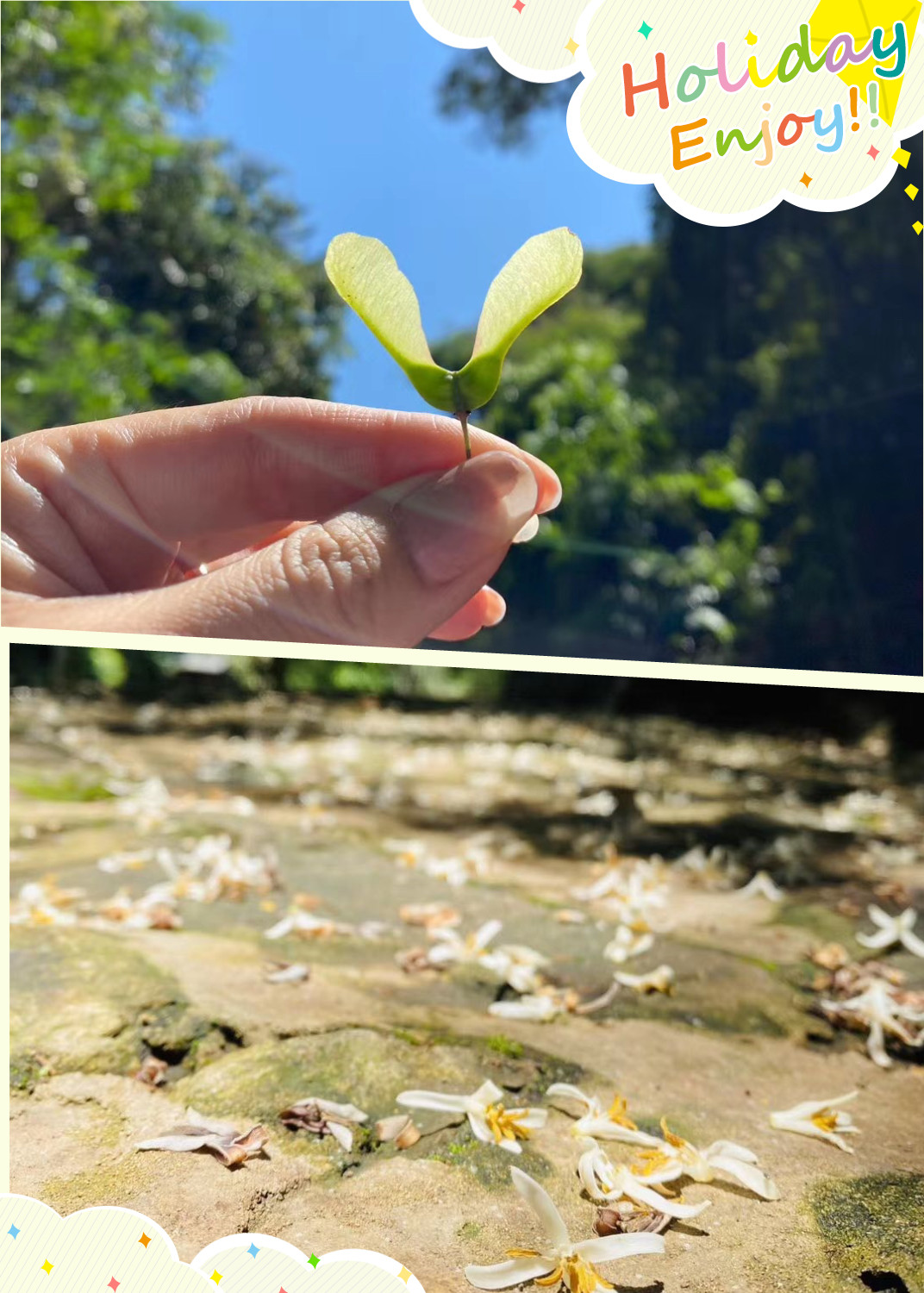 香港最全资料图库